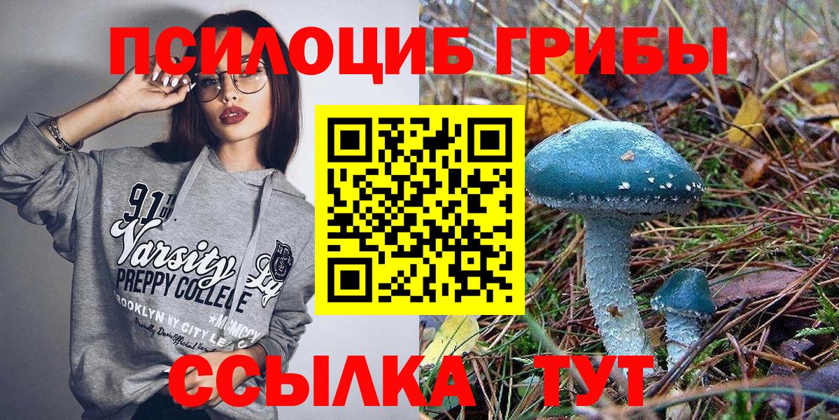 Псилоцибиновые грибы мицелий  Вход с VPN  Сургут 